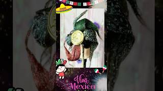 REHILETE MEXICANO alestilodedana LaCasaDeLosFamososMx BriggitteBozzo  songlovebriggittebozzo [upl. by Arykahs113]