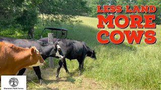 Secret Tools For Regenerative Grazing Cattle On Small Acreage [upl. by Dnumsed]