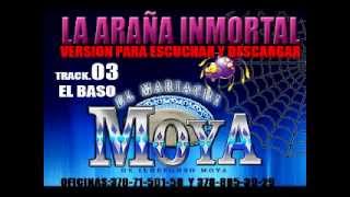 MARIACHI MOYALA ARAÑA INMORTAL03 EL BASO [upl. by Loyce]