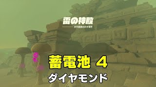 雷の神殿 古代壁画の示す場所【攻略動画】Lightning Temple  The Murals Myth  Risen from the Sand『ゼルダの伝説 TotK』 [upl. by Ibrek]