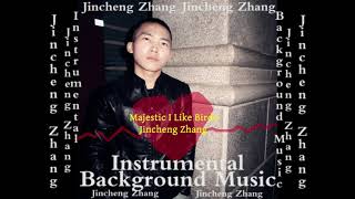 Jincheng Zhang  Maritime I Like Birds Official Instrumental Background Music [upl. by Noiro]