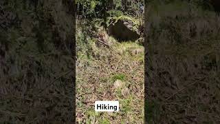 Hike to Mutkopf in Tirol tirol altoadige merano hike mountains nature [upl. by Wanyen909]