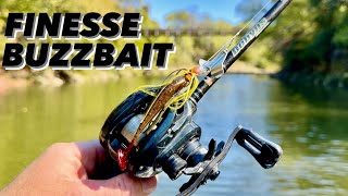 Fall Topwater SMASH Session Fort Worth BFS Angling [upl. by Lynus348]