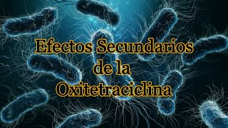 Efectos Secundarios de la Oxitetraciclina [upl. by Atenik913]