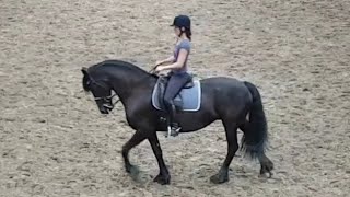 Horseriding Turn on the haunches Keertwending rijden Friesian Horse [upl. by Laszlo]