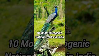 10 Most Photogenic National Parks in India nationalpark naturephotography photography parks [upl. by Davy]