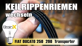 Fiat Ducato Keilriemen wechseln  How to change Tension Belt [upl. by Ahsiem]