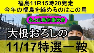 【競馬予想】11月17日の特選一鞍【大根おろし】 [upl. by Alliuqaj138]