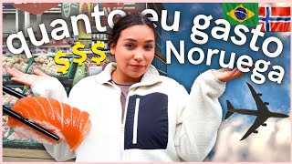 QUANTO EU GASTO NA NORUEGA POLÔNIA Aí VOU EU \\ Vida na Noruega 🇧🇷🇳🇴 [upl. by Novets]