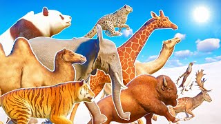 90 Animals Running Race in Antartica Snow Included Prehistoric Animals amp Mods Planet Zoo [upl. by Abisia]