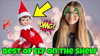 The Best Of The Elf On The Shelf My Elf Is Pregnant Gender Reveal [upl. by Brian]