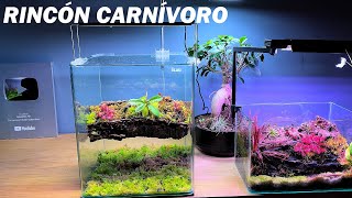 ¡PLANTAS CARNÍVORAS FLOTANTES ASÍ JEMOS RECONVERTIDO ESTE ACUARIO EN UN TERRARIO [upl. by Young724]