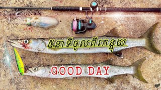 Catching Two Barracudas In 5 Minutes  លើកត្រីអង្រែពីរក្បាលត្រឹមប្រាំនាទី [upl. by Marianna]