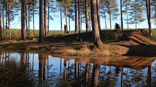 Trip to Cannock Chase [upl. by Heins]