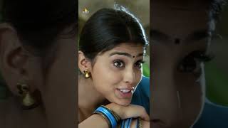 Shriya Saran Comedy with Ravi Teja  Bhageeratha  shorts  youtubeshorts  SriBalajiVideo [upl. by Adele]