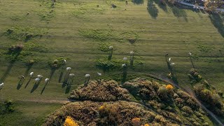 Quick flight over horse farm  Cinematic Drone Video  DJI Mavic 2 Pro [upl. by Sasha]