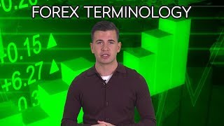 Introduction to Forex Terminology [upl. by Yesak661]