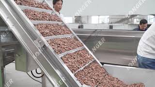 How Cocoa Powder is Made in Factory Cocoa Powder Manufacturing Process [upl. by Hcirteid]