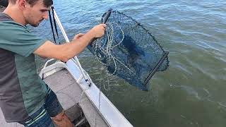 Caboolture River Fishing and Mud Crabbing February 2023 Ep1 [upl. by Enairda]