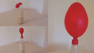 Cómo inflar globos con levadura Experimento sobre fermentación y respiración🥚👩‍🔬 [upl. by September622]