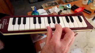 Playing The Hohner Melodica Piano 27 After 45 Years In Storage And A Deep Clean [upl. by Lugar]