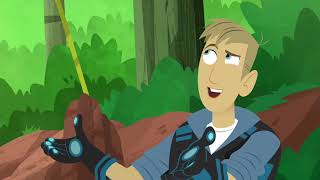 Wild Kratts Explore China Part 1 Creature Defense [upl. by Auqenahc]