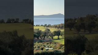 Navarino Bay View from The Bay Clubhouse Navarino Bay Costa Navarino Messinia Greece Shorts [upl. by Aizti]