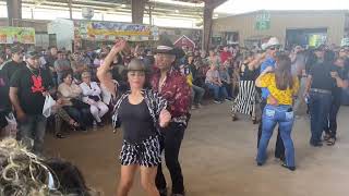 Baile En Vivo En La Pulga De Alamo Texas [upl. by Ynohta]