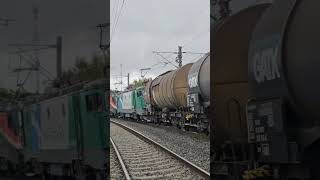 Locomotiva Lema Transmontana 063VestTransRailhorn show from Arad Station romania train softronic [upl. by Hcurob]