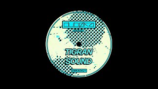 Tigran Sound  Masked Ones DBKAD021 [upl. by Clein]