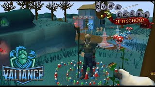 HCIM Fairytale II  Cure A Queen E8S4 [upl. by Anir]