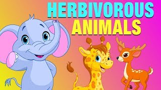 Herbivorous Animals Pictures With Names  Educational Video for Kids  KidsLearning [upl. by Aciret]