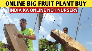 Unboxing Online Big Fruit Plant  Super Online Nursery chintamaninursery9589 [upl. by Manup]