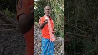 Odia short Vedio Asa aji Chatu chasa kemiti Hauchi dekhiba food youtubeshorts funny odia vlogs [upl. by Aldrich]