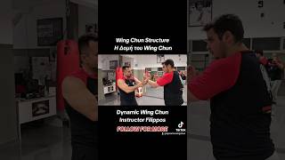 Wing Chun Structure  Η Δομή του Wing Chun martialarts wingchun kungfu fighting combat [upl. by Eyla]