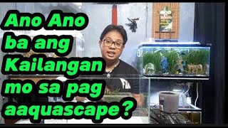 Aquascaping Basics  Tagalog [upl. by Annalla134]