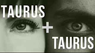 Taurus amp Taurus Love Compatibility [upl. by Elay]