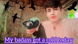 Faheem Vlogs 804 My badass got a cold today [upl. by Collete]