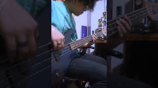 Luis R Conriquez Neton Vega  Si No Quieres No BASS COVER [upl. by Yerahcaz558]