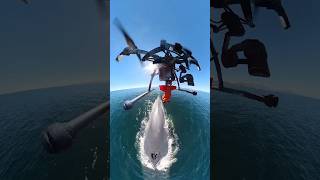 This is how scientists monitor the health of whales 🤯 Permit SGPADGVS1002221 drone tech sea [upl. by Naehs38]