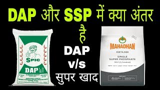 SSP vs DAPsingle super phosphate and diammonium phosphate fertilizer [upl. by Asselem]