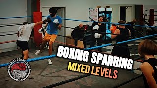 Mixed Levels Boxing Sparring with Controlled Pace [upl. by Ikaz]