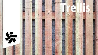 Vertical Modern Trellis  DIY Privacy Fence [upl. by Imefulo121]