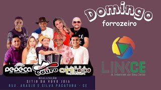 Domingo forrozeiro com pepeka do acordeoncafé coado e chapeu de couro [upl. by Lulita]