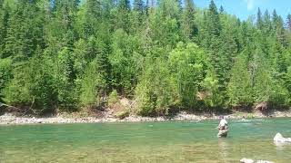 Salmon fishing on the Bonaventure river [upl. by Lorri]