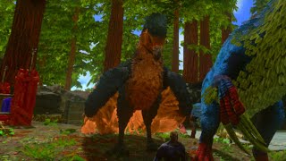 How To Tame Argentavis In Ark Mobile របៀបចាប់ឥន្ទ្រី [upl. by Procto283]