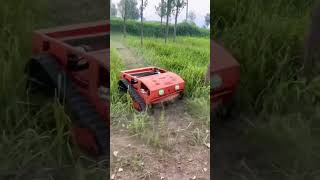 Lawn cutter weed removal remote control lawn mower weed killer lawn mower [upl. by Ross]