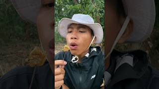 ant egg lollipop🍭🐜 survival camping outdoors bushcraft [upl. by Adelric426]