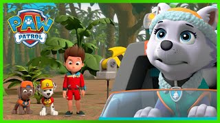 Zuma saves Rocky in a runaway box fort and more  PAW Patrol  Cartoons for Kids Compilation [upl. by Elfrida]