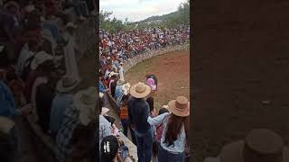 Jaripeo en Ixtlahuacán de los Membrillos payasito de rodeo salva la vida de su compañero [upl. by Cosimo]